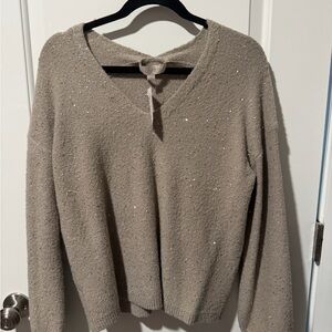 LOFT Women's Shimmering Beige V-Neck Sweater
